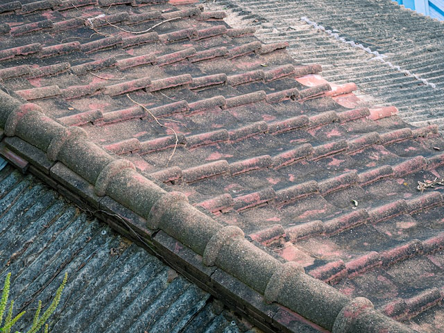 The Long-Term Effects of Neglected Roof Damage