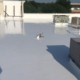 Tropicalroofing Projectprofile Tporoofrestoration Hero