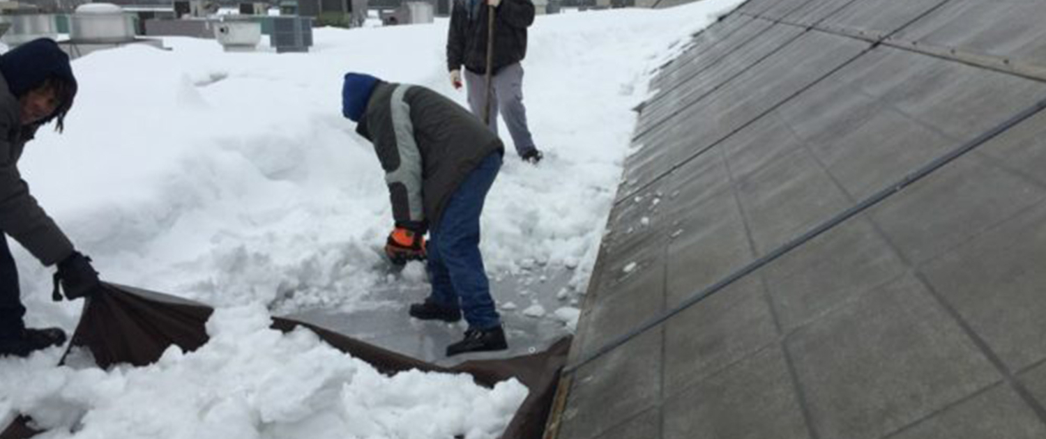 Snow Roof Apex