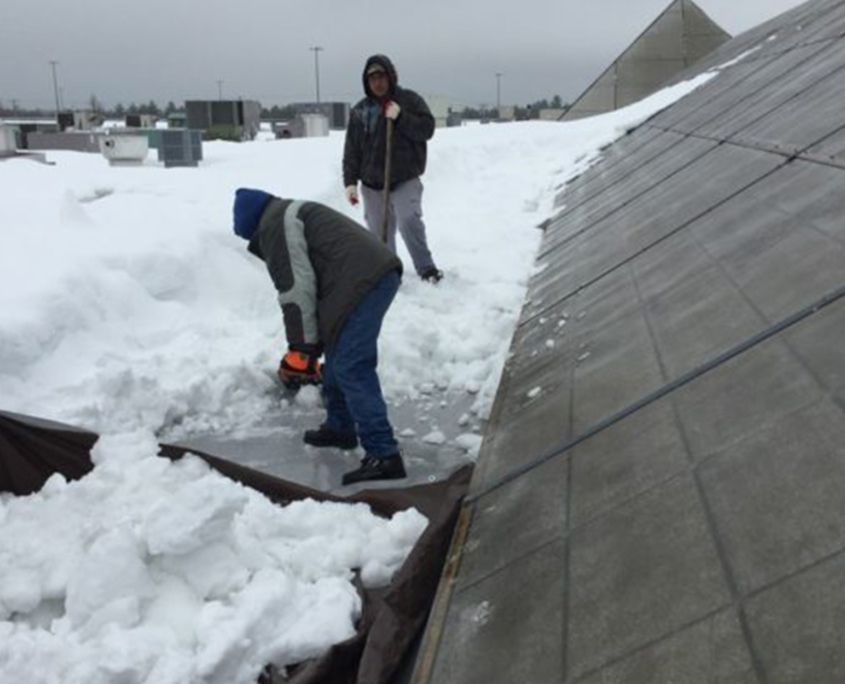 Snow Roof Apex